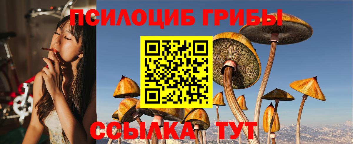 Псилоцибиновые грибы Magic Shrooms Удомля
